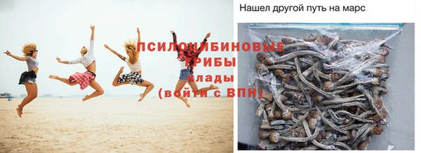 амф Абинск