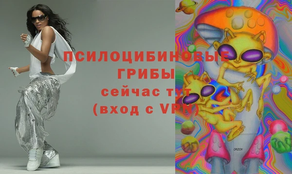 крисы Абаза