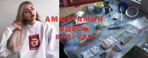 крисы Абаза