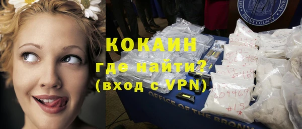 крисы Абаза